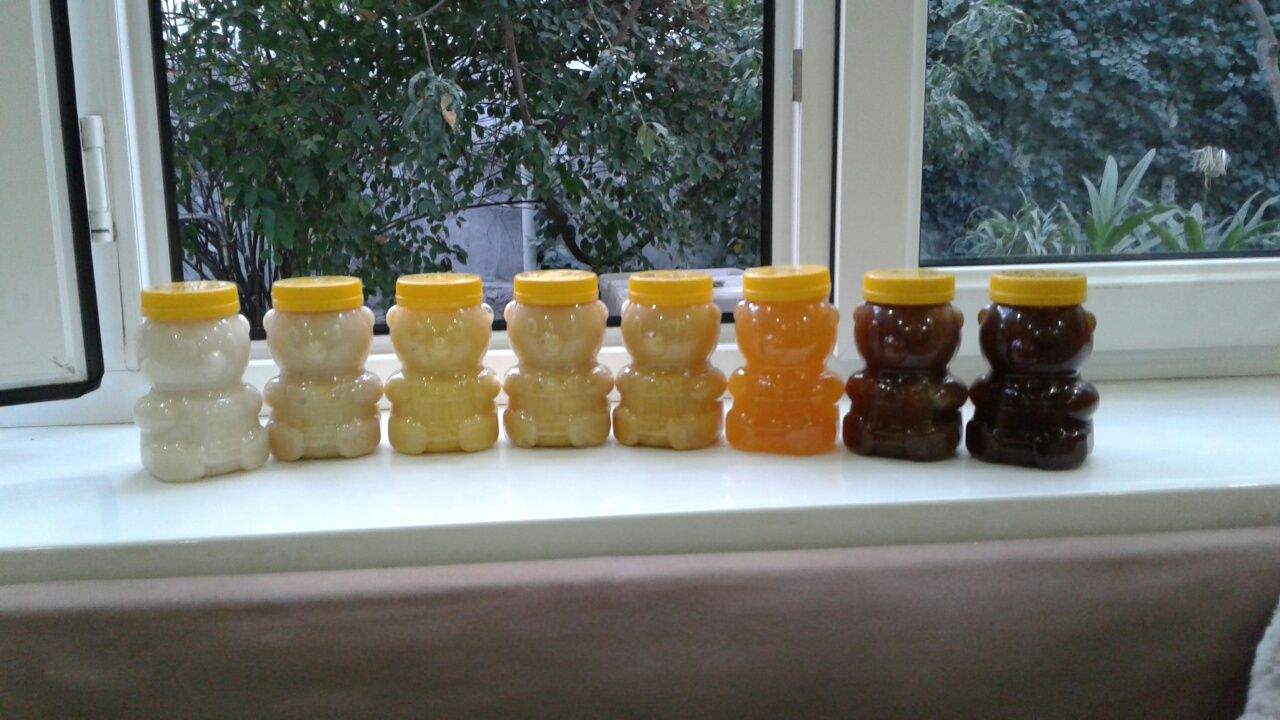 Натуральный мёд  разных сортов