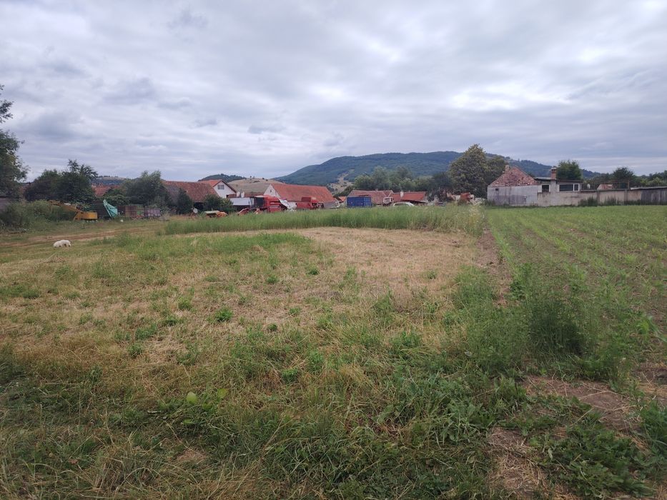 Teren intravilan de vanzare