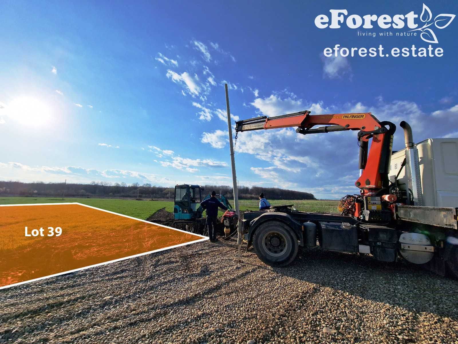 eForest, 300 lotuiri între păduri, acces direct din DN1A