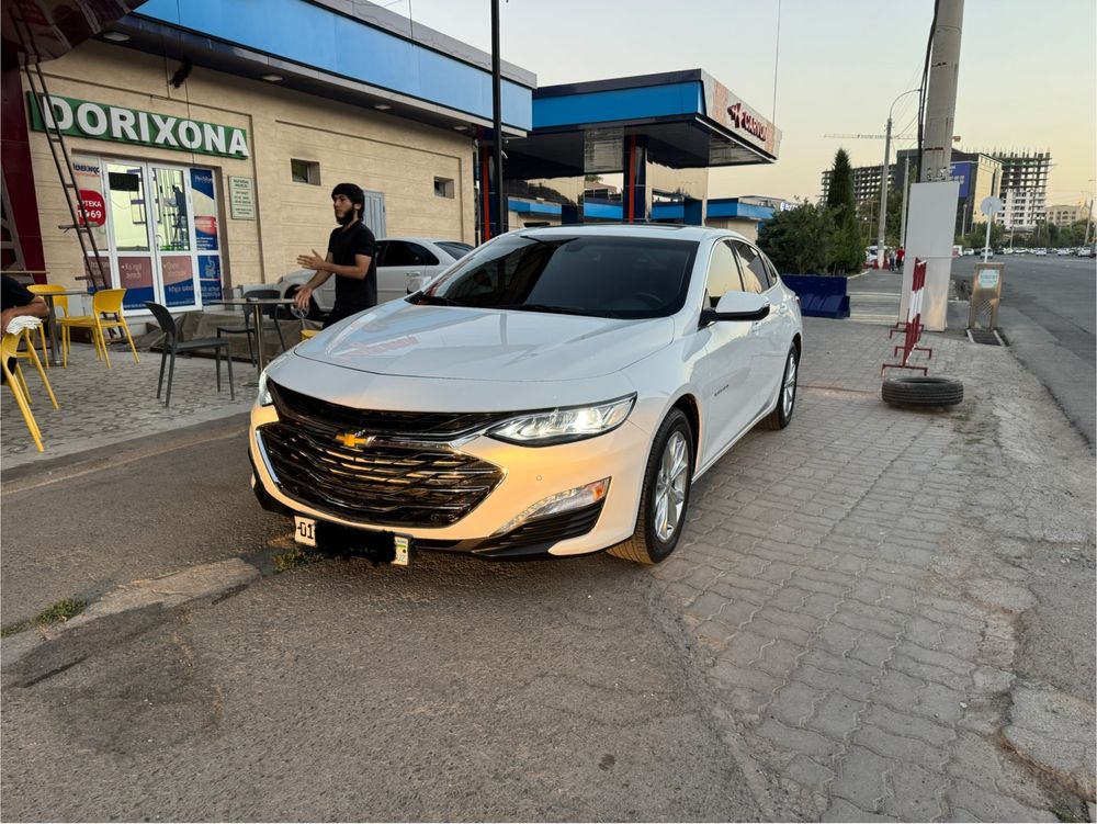 Malibu premier 2020