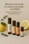 Blend doTerra ( otita+ nas infundat)