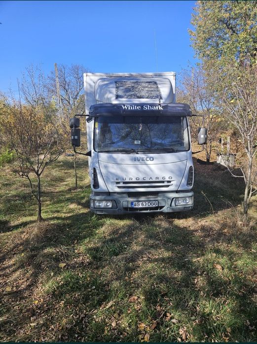 Camion Iveco Eurocargo 7,5 cu albine/stupina/