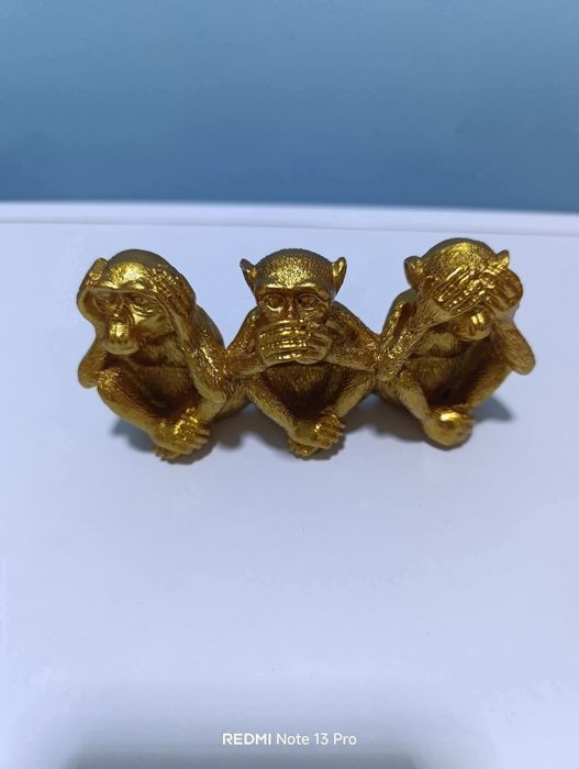 Не знам, не чух , не видях
Материал - полезерин 
Цена 25 лв