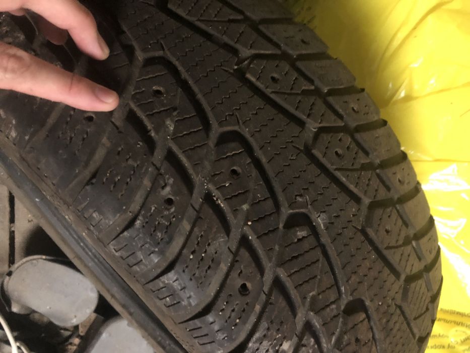 Шины зимние шипы ecovision