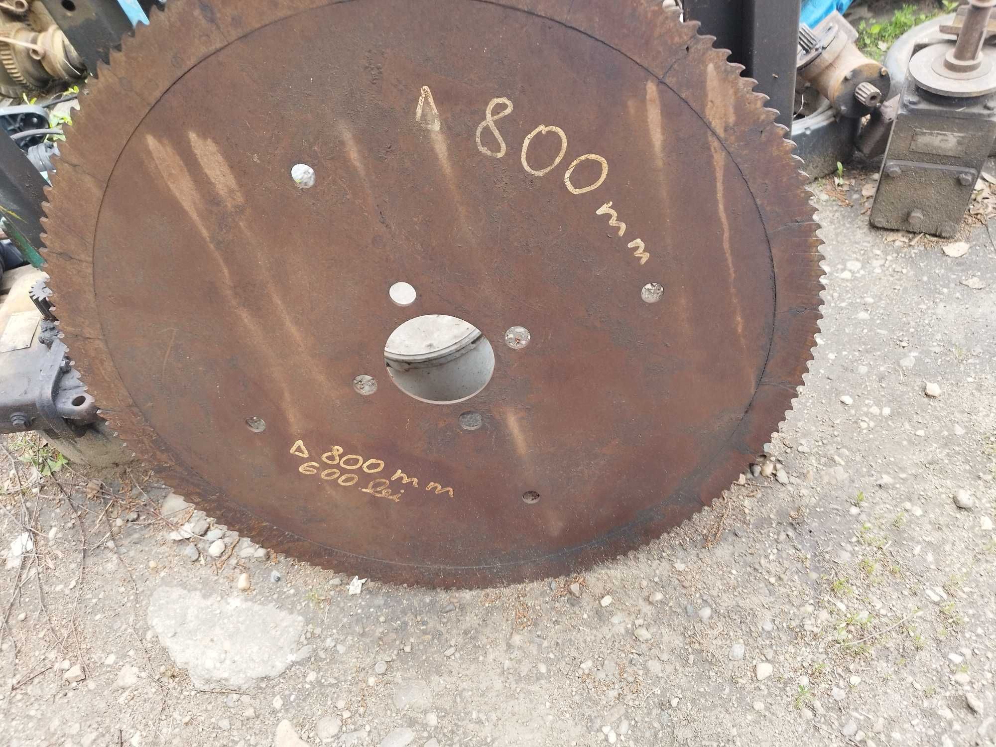 Panza pentru circular tăiat lemne bușteni 800 mm