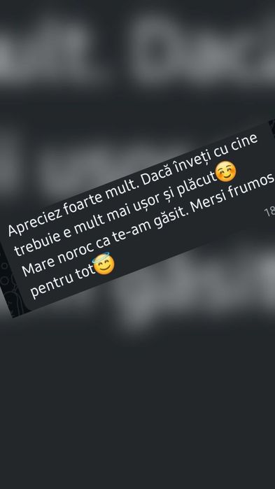 Engleză: profesor nivel nativ, exp. internațională, doctorat meditații