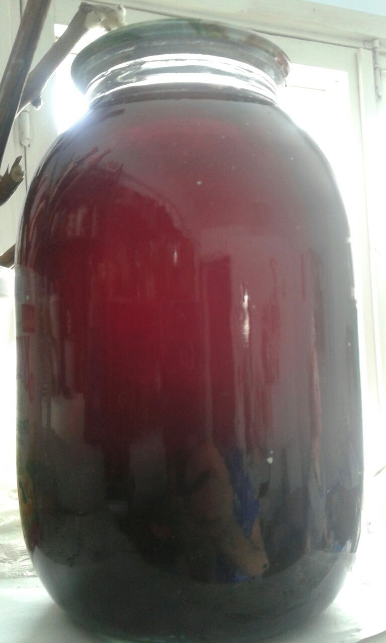 Компот из винограда киш-миш 2 литра  1600 тг