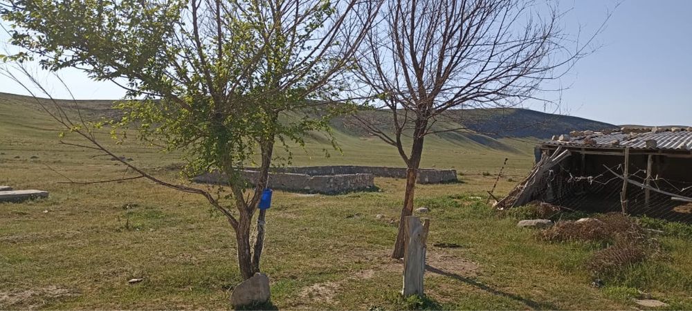 Продается фазенда