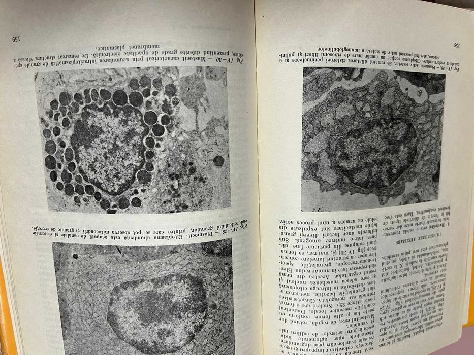 Vand cursuri de Anatomie Patologica , editia 1980