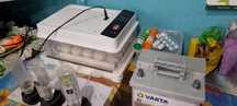 Incubator automat + baterie varta accept orice test