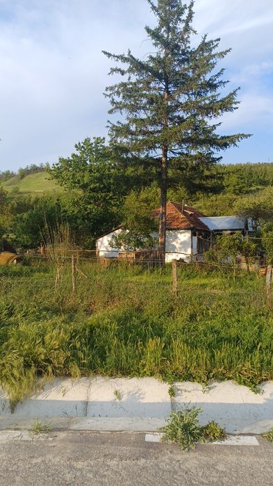 Casa cu teren 1 hectar în sat Roșcani, la 40 km de Iași.