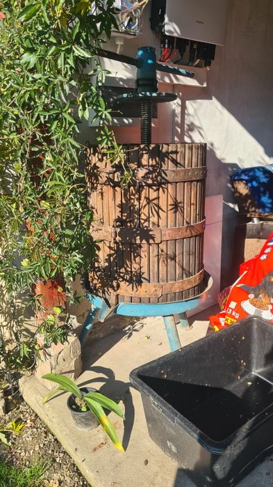 Teasc ,storcător de struguri /fructe