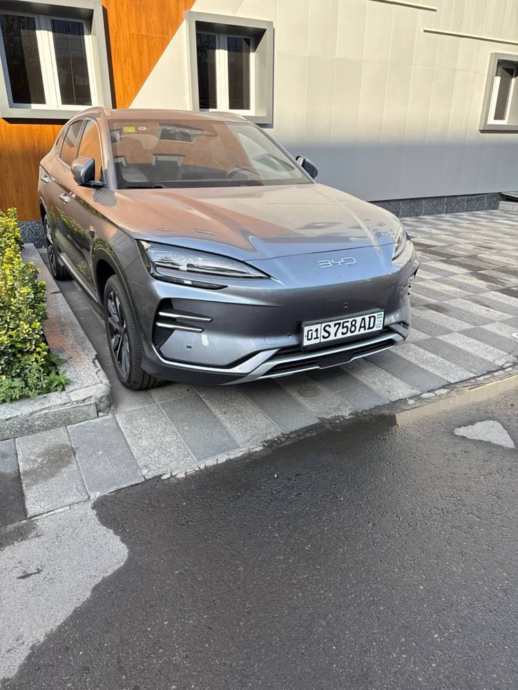 BYD champion серый новый