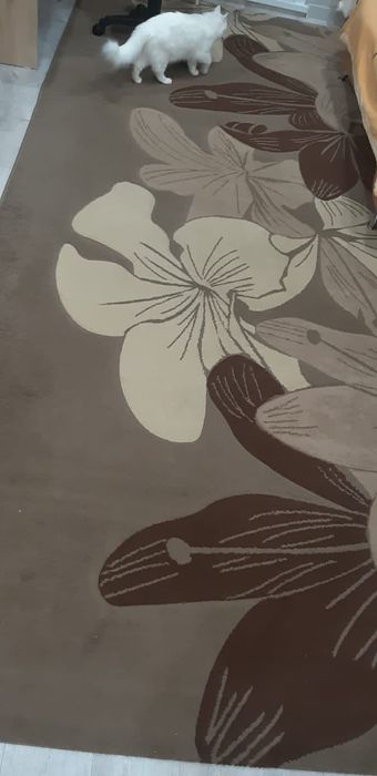 Продам палас в хорошем состоянии