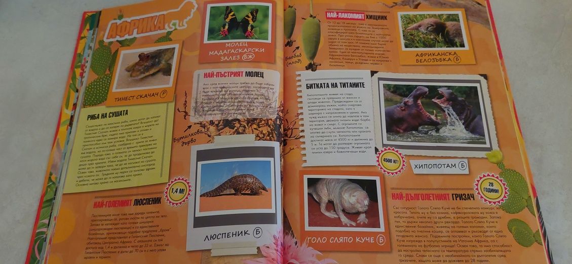 Стекер-албум Рекорди в света на животните