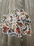 Set 50 stickere retro