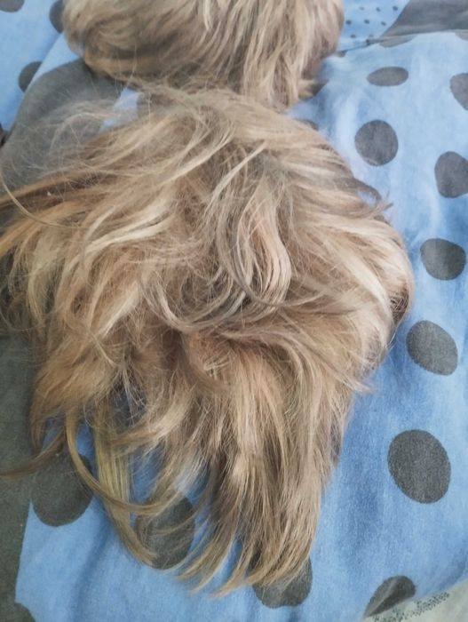 2 peruci par natural