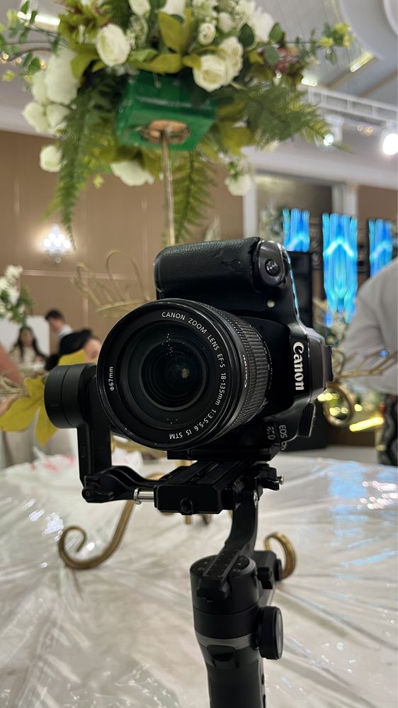 Canon80dronine34