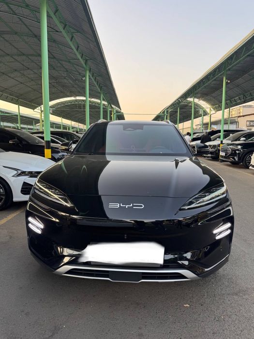 byd chempion 2023