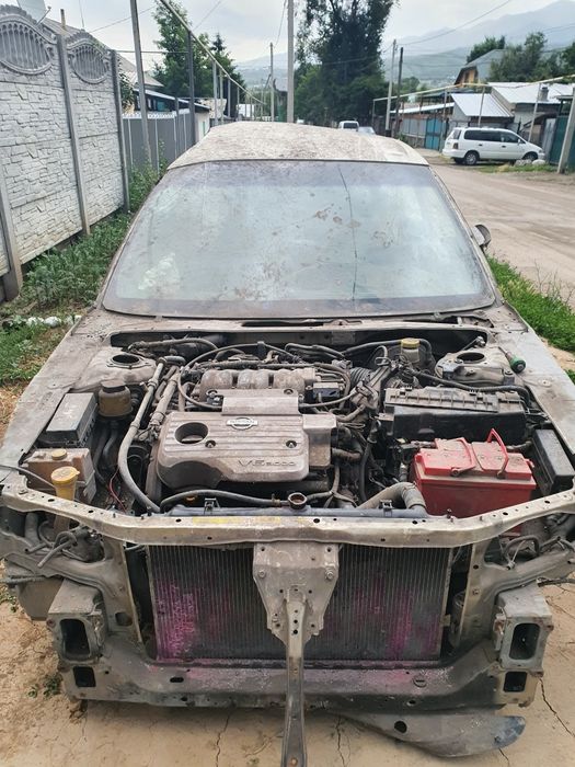 Максима А33 стрекоза