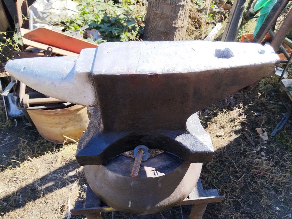 Nicovala foarte mare și veche