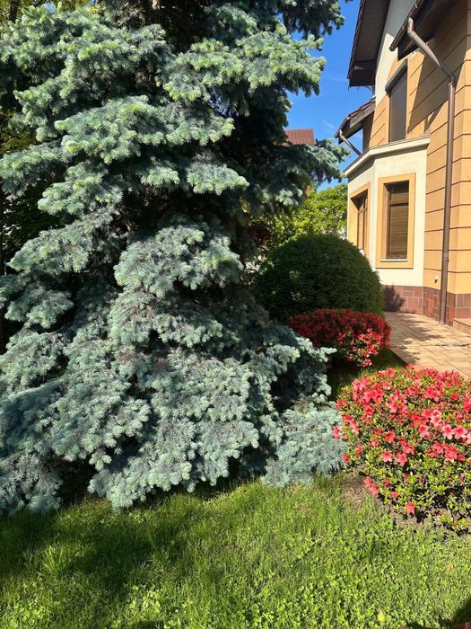 Vila Strada Trivale S+P+E1+M