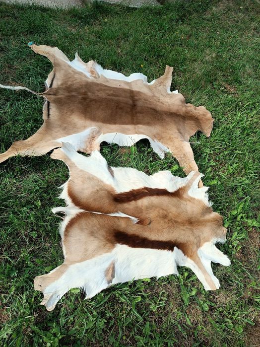 Обработка на кожи