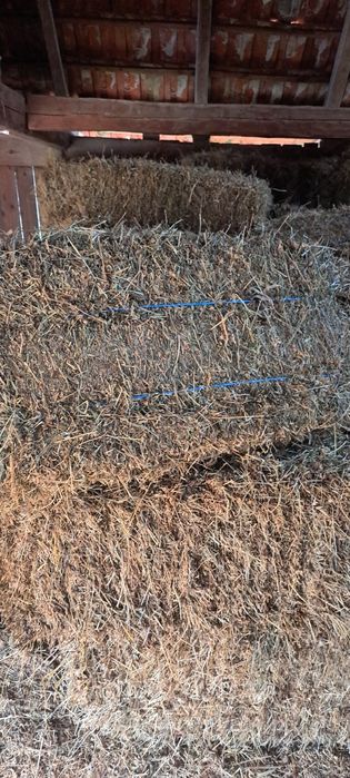 Baloti de lucerna+baloti de fan