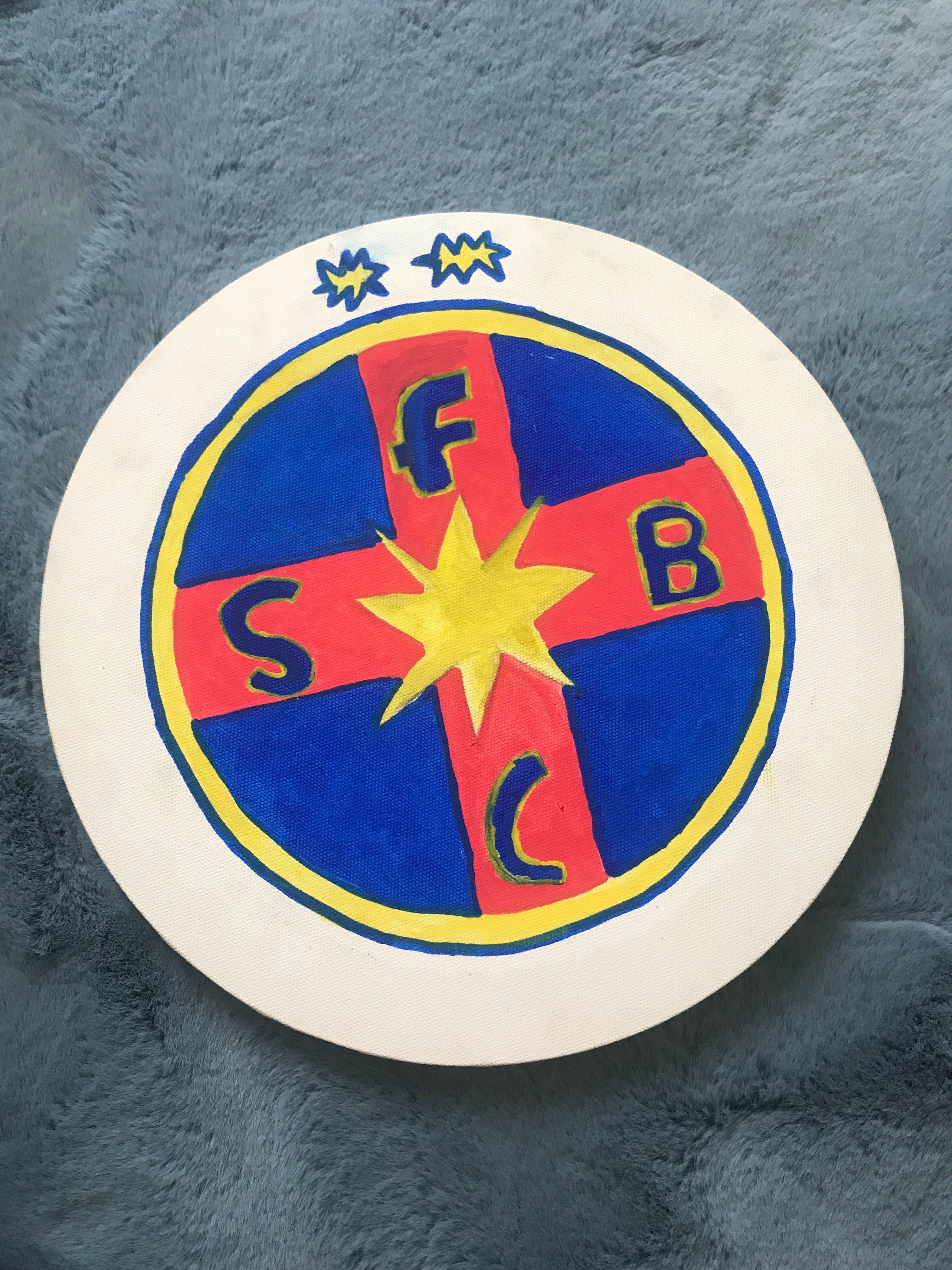 Tablouri făcute cu markere Posca.Fcsb și peisaje