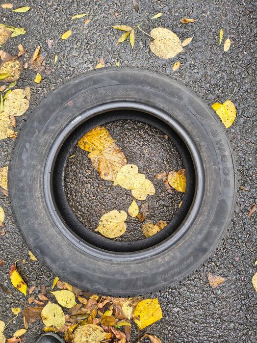 cauciucuri iarna Westlake Snowmaster 185/65 R15