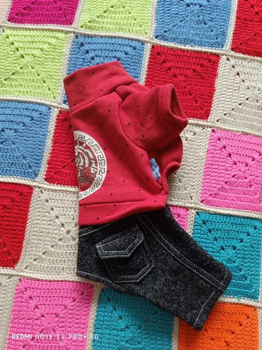 Костюм, вещи для собак мелких пород