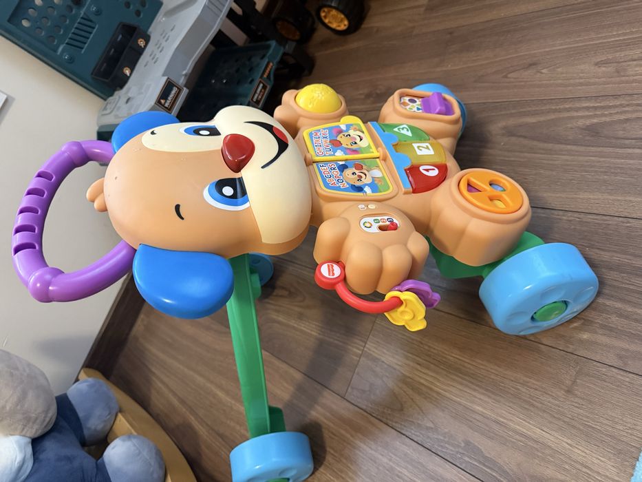 Музикална проходилка Fiser price уоукър