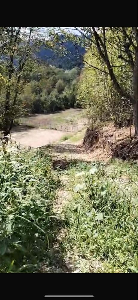 Teren Intravilan Tarcău