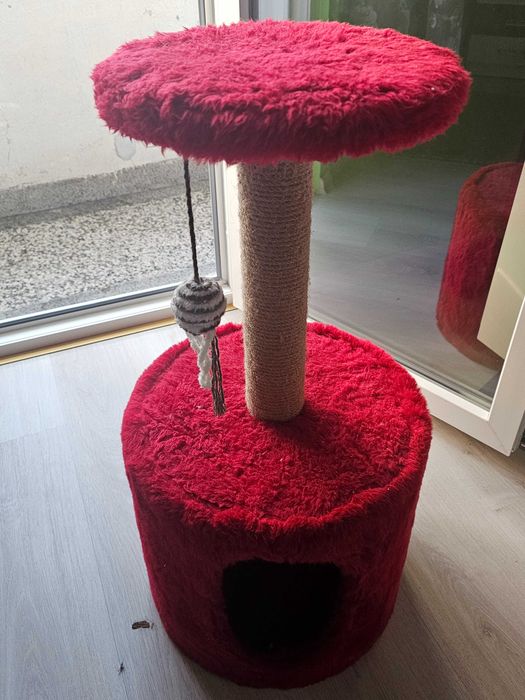 Катерушка и котешка тоалетна