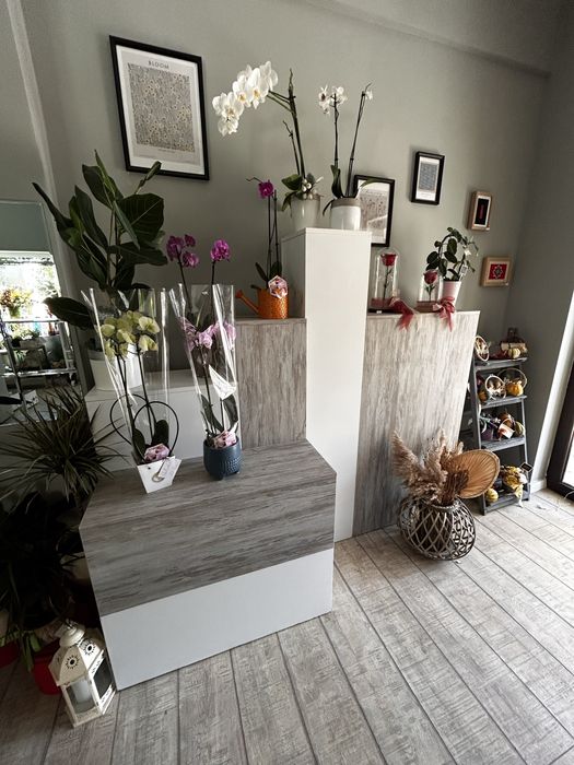 Mobilier/ Desk pentru spatiu comercial sau Florarie