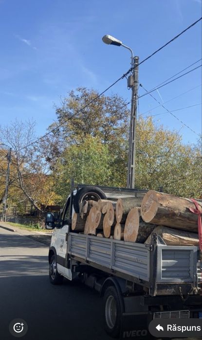 Vând lemn de esenta tare.