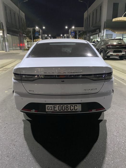 BYD chazor 1 позиция