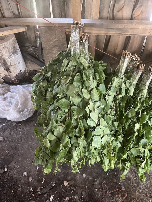 Продам березовые веники для бани