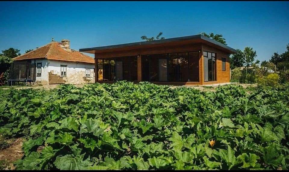 Vand container tip casute 40mp