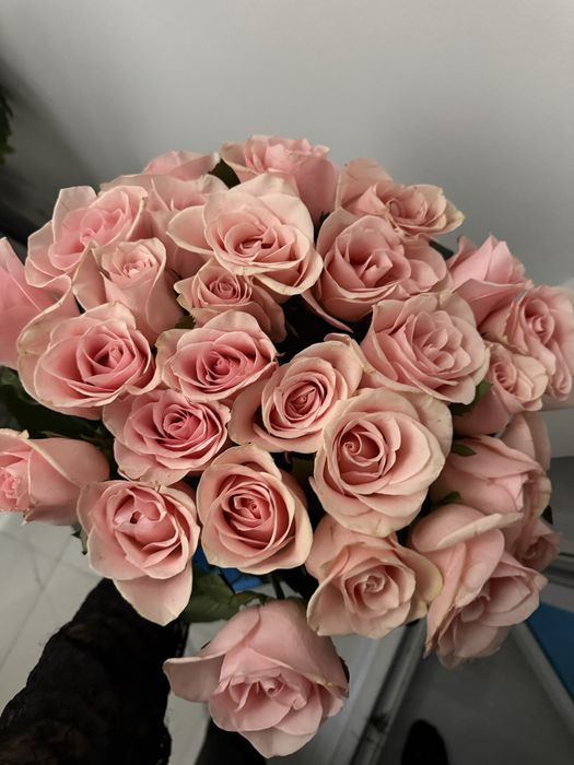 Цветы бу продам в хорошем состоянии