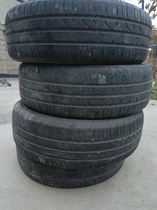 Kobalt 15 radnoy balon continental