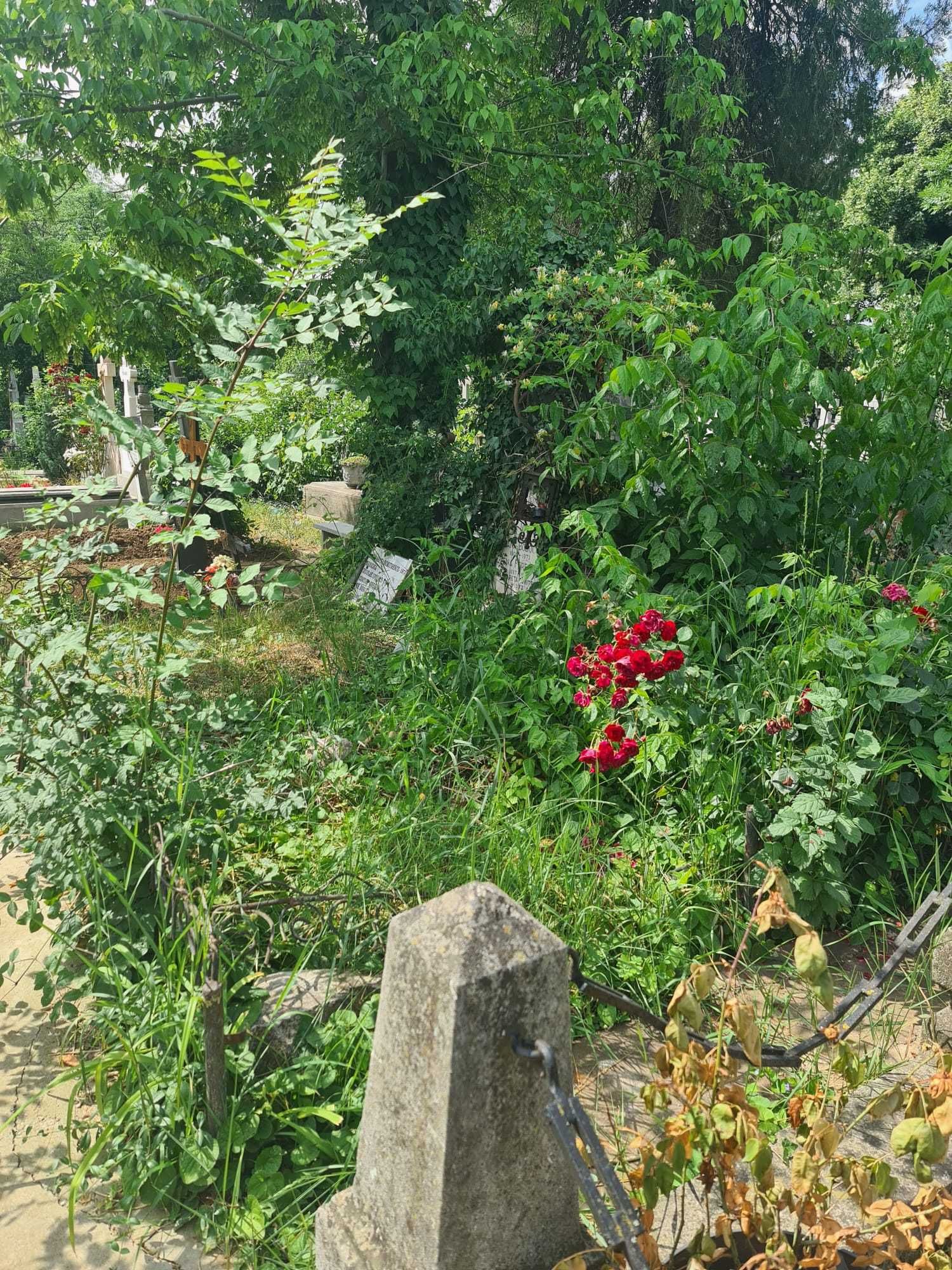 Vand loc de veci cimitirul Sf Vineri