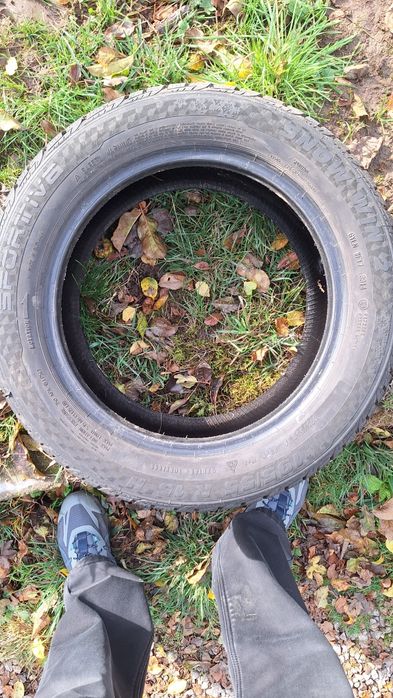 195 55 15 два броя