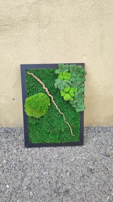 Tablou cu mușchi si licheni stabilizati