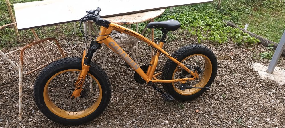 Bicicletă cameleon.