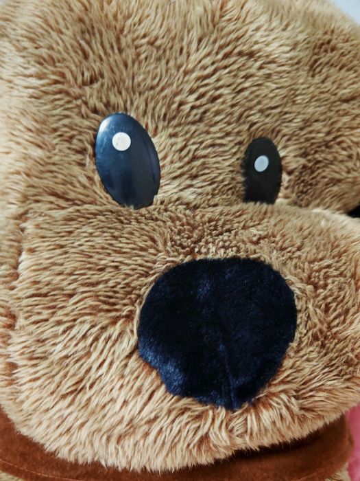 Catel foarte mare de plus