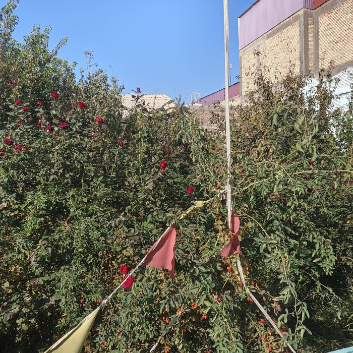 Уй сотилади Шахар марказида