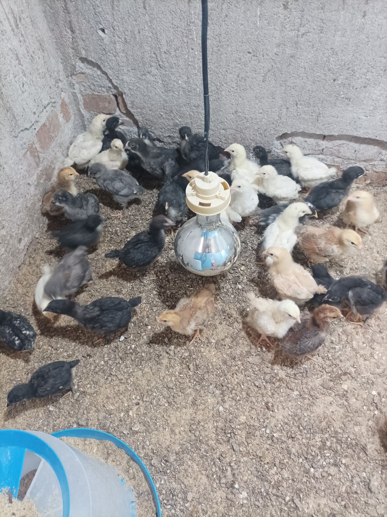 Продавам пилета.