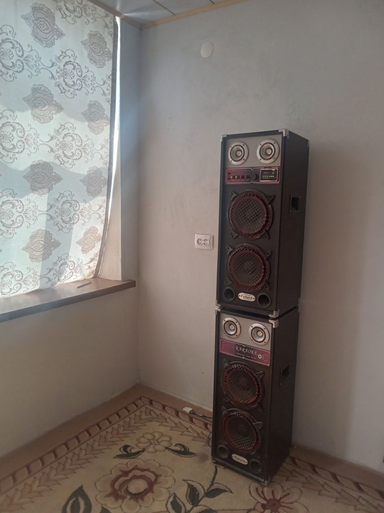 Калонка караоке усилителни