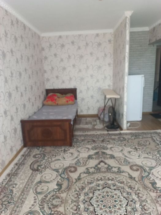 1 комнатная с мебелью и техникой